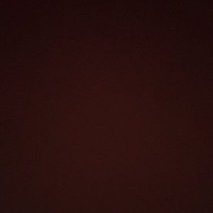 Meet your Posher, Teddie